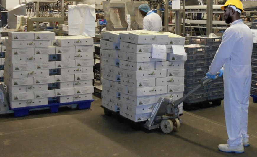 INNOVA FOR START-UP POULTRY PROCESSORS SOFTWARE IS NOT A BIG MONSTER